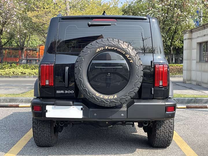 Фото 4 - Tank 300