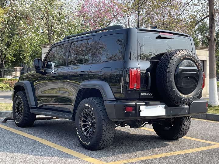 Фото 5 - Tank 300