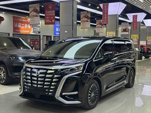 Фото 1 - Denza D9