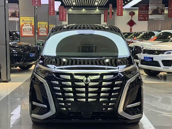 Фото 2 - Denza D9