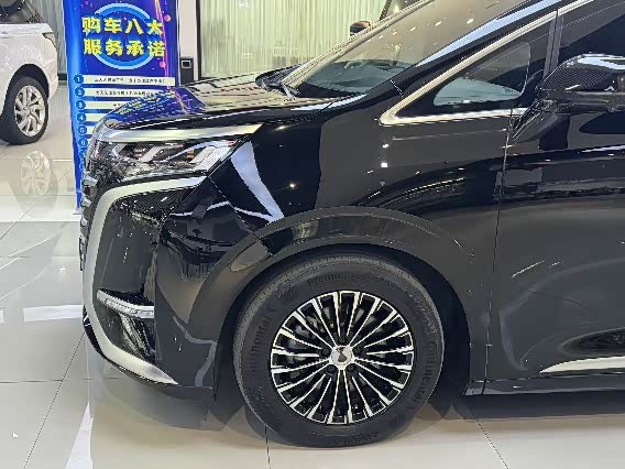 Фото 3 - Denza D9