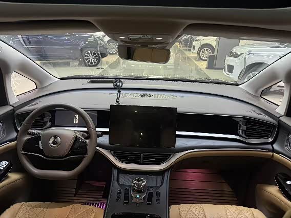 Фото 7 - Denza D9