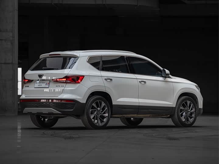 Фото 9 - Jetta VS5