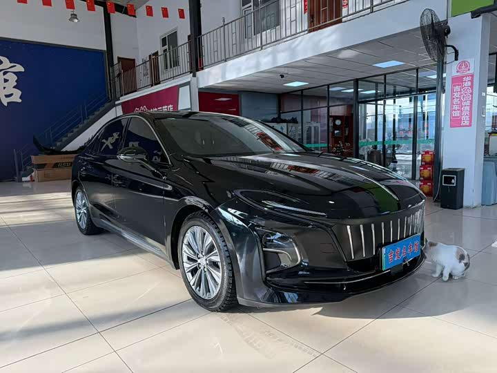 Фото 3 - Hongqi E-QM5