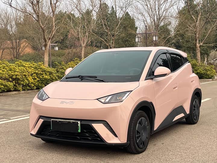 Фото 1 - BYD Seagull