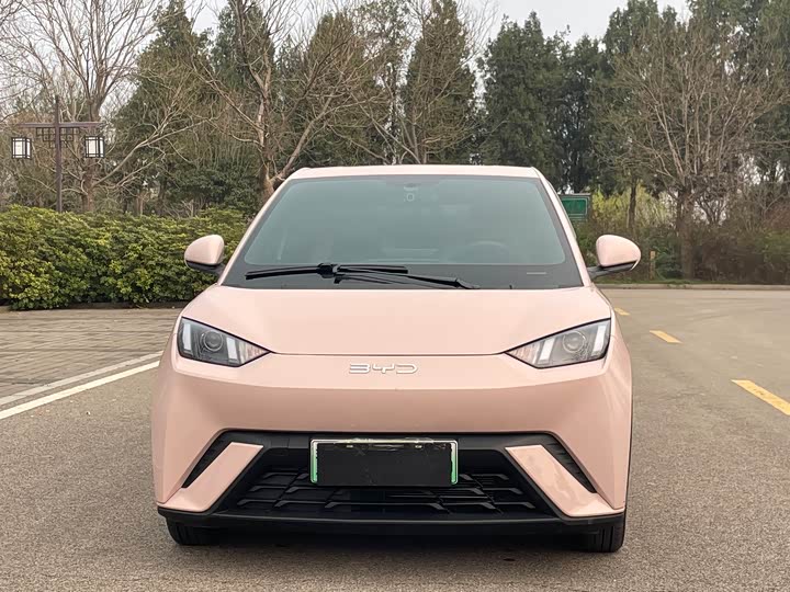 Фото 2 - BYD Seagull