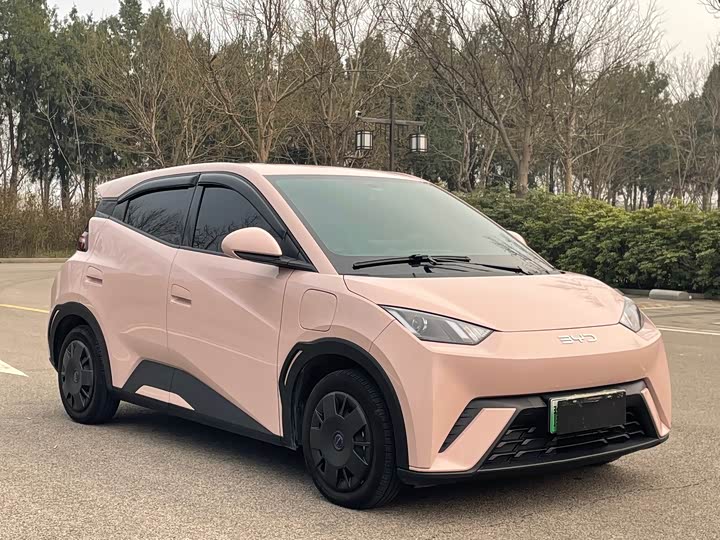 Фото 3 - BYD Seagull