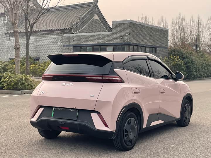 Фото 4 - BYD Seagull