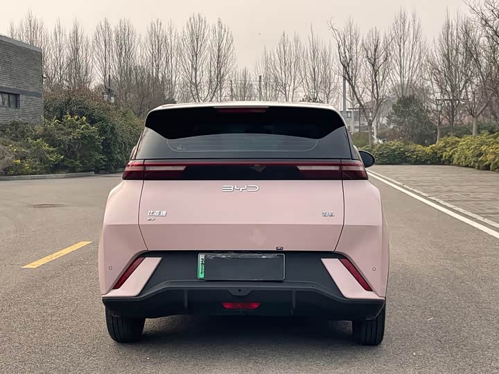 Фото 5 - BYD Seagull