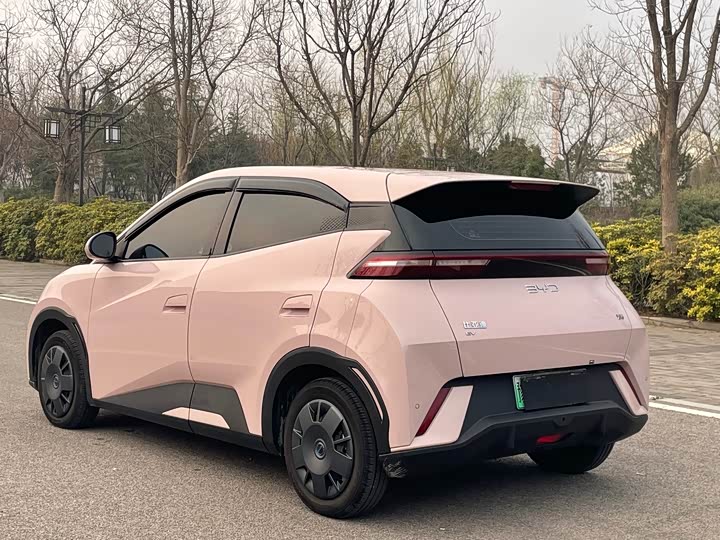 Фото 6 - BYD Seagull