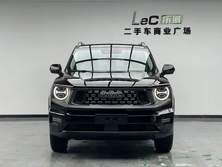 Фото 2 - Haval H-Dog