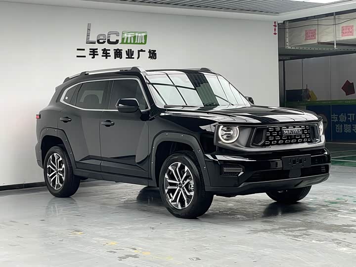 Фото 3 - Haval H-Dog