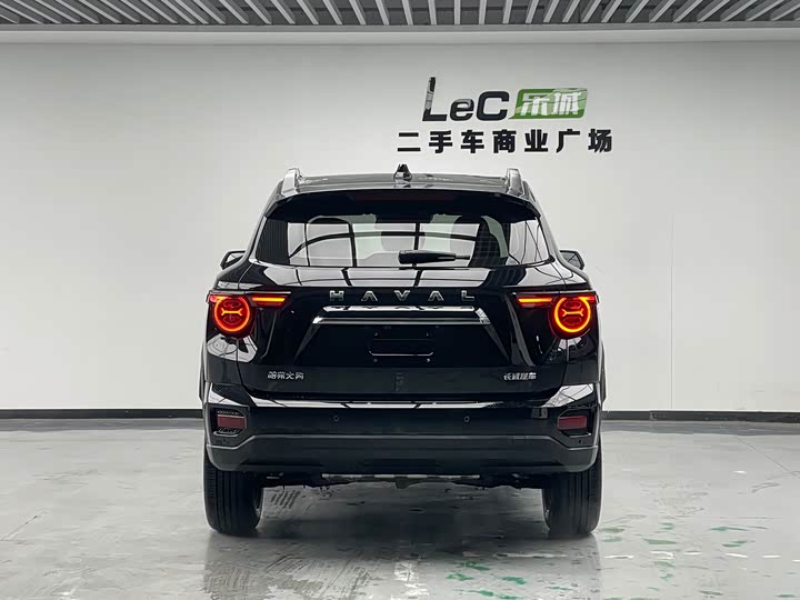 Фото 5 - Haval H-Dog