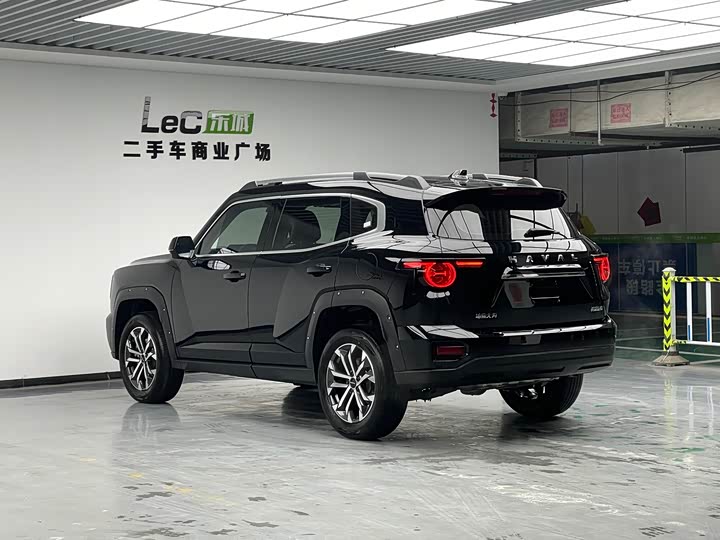 Фото 6 - Haval H-Dog