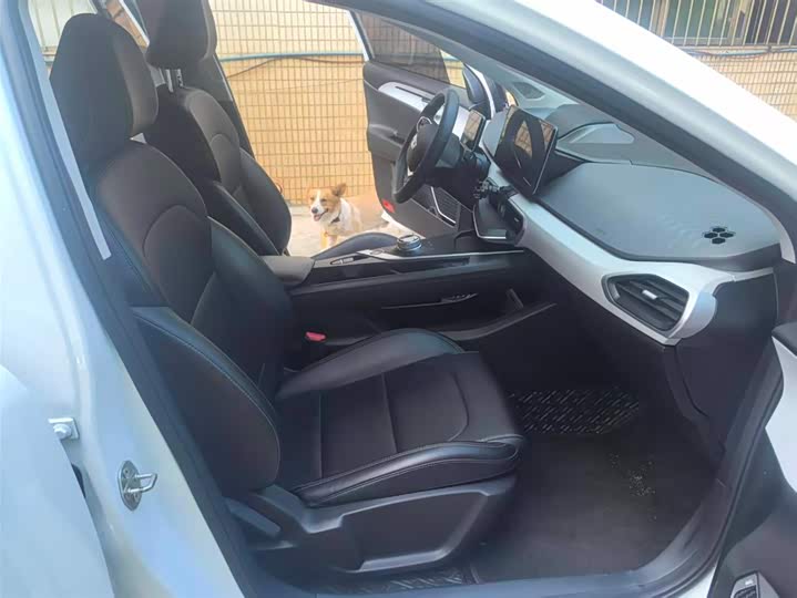 Фото 9 - Geely Geometry A