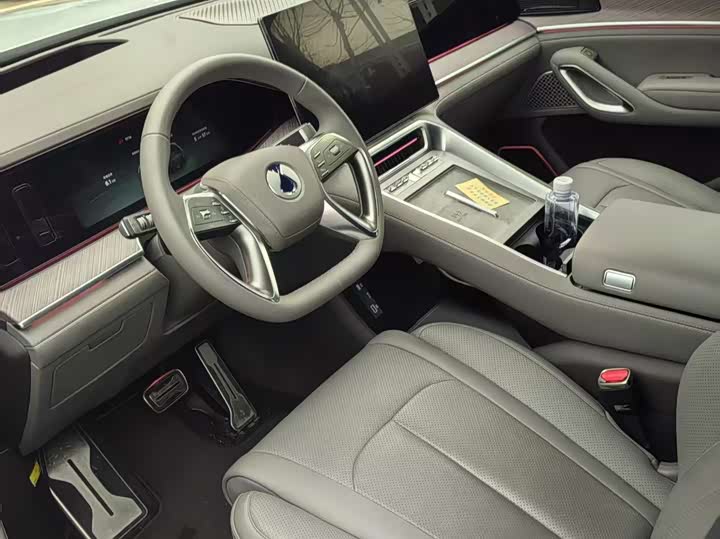 Фото 8 - Denza N9