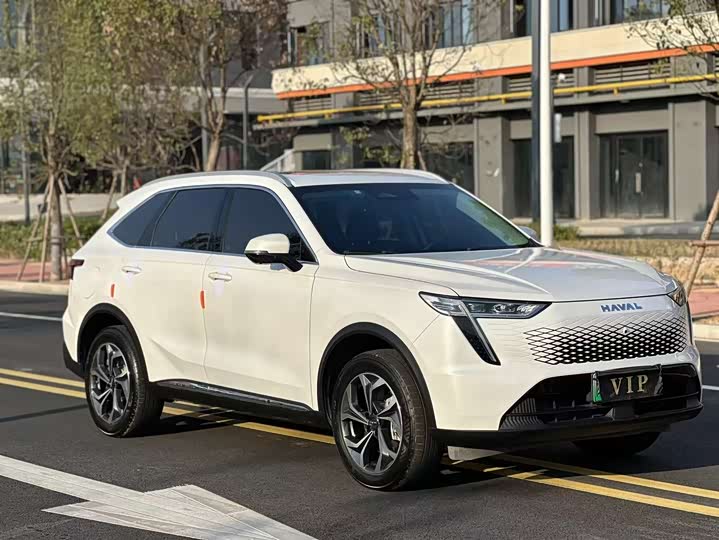 Photo 3 - Haval Ruge Max