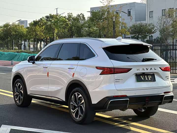 Photo 7 - Haval Ruge Max