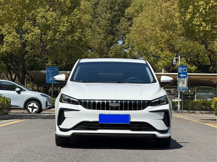 Фото 2 - Geely Binrui