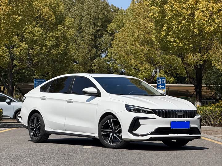 Фото 3 - Geely Binrui