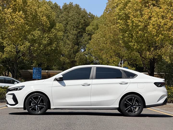 Фото 5 - Geely Binrui