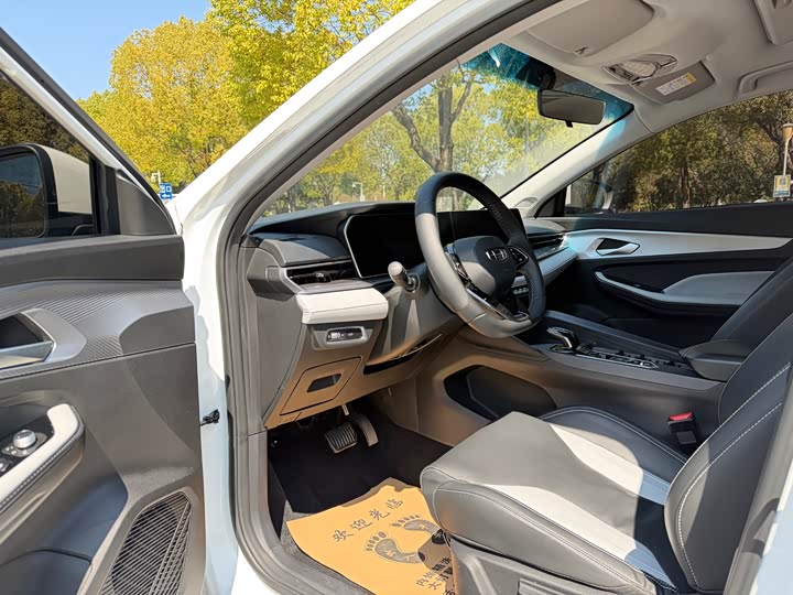 Фото 8 - Geely Binrui