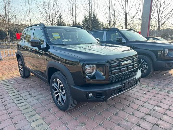 Фото 3 - Haval Dargo