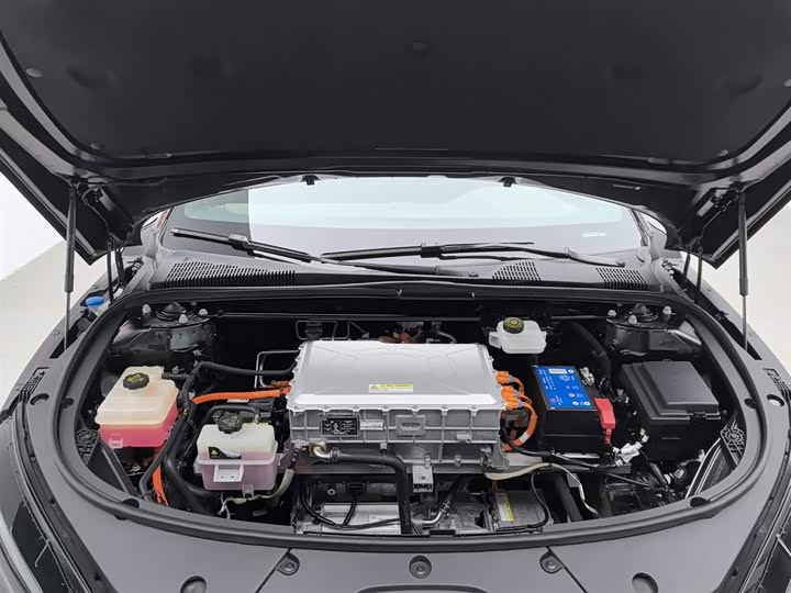 Фото 6 - BYD Han