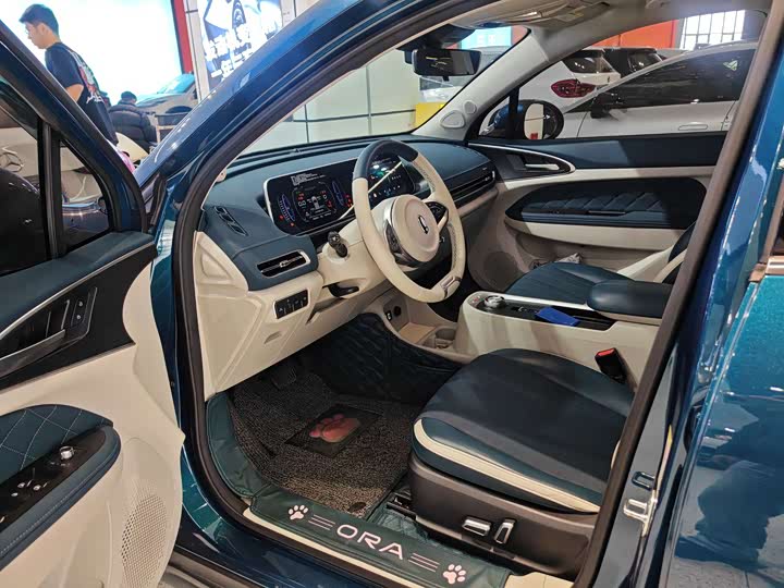 Фото 2 - Ora Good Cat (03)