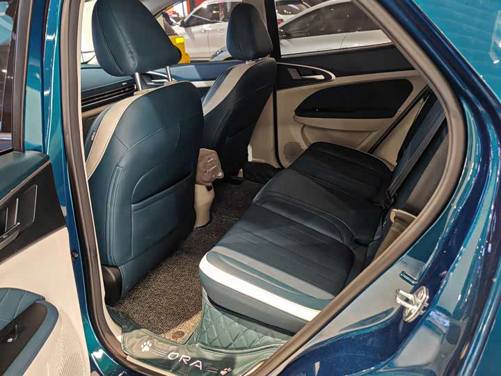 Фото 3 - Ora Good Cat (03)