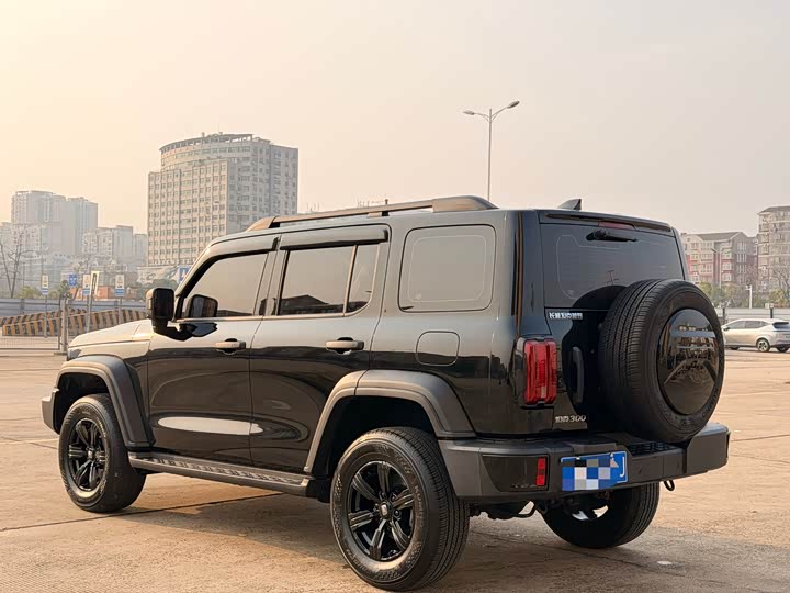 Фото 5 - Tank 300