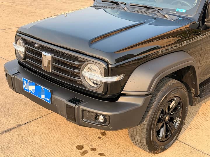 Фото 6 - Tank 300