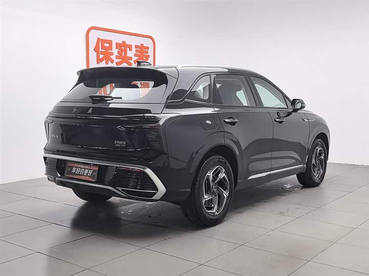 Фото 2 - Hongqi HS3