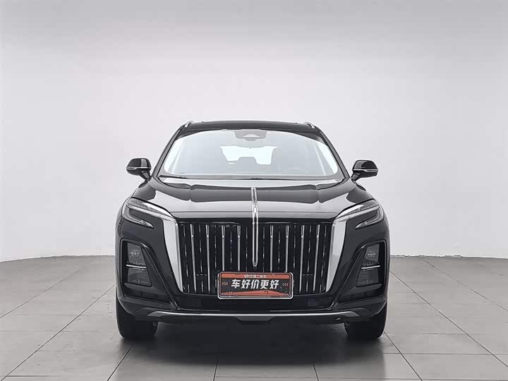 Фото 3 - Hongqi HS3