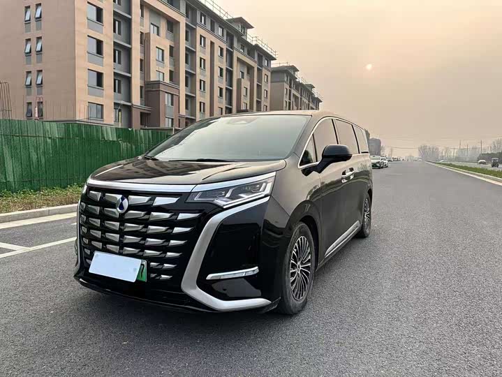 Фото 1 - Denza D9