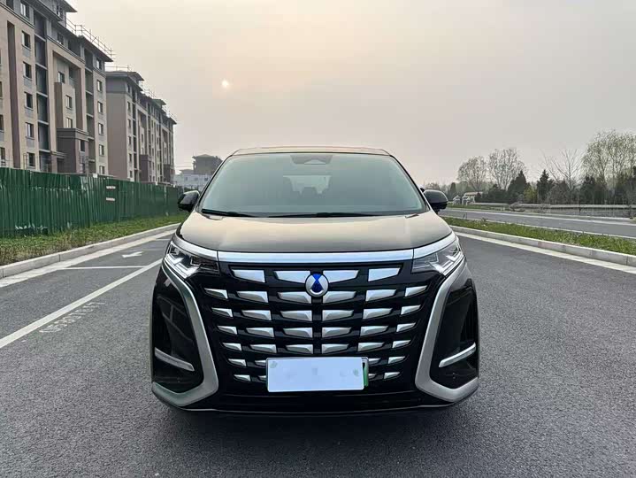 Фото 2 - Denza D9