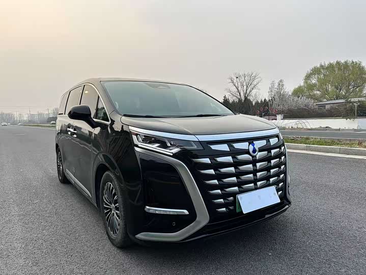 Фото 3 - Denza D9