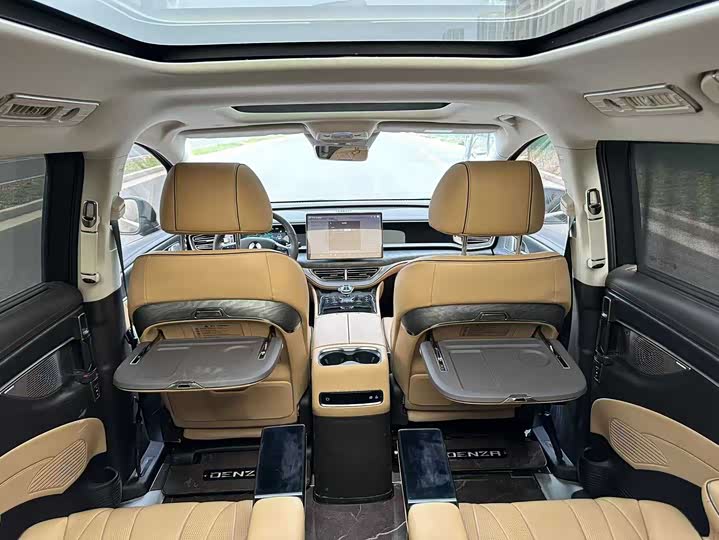 Фото 4 - Denza D9