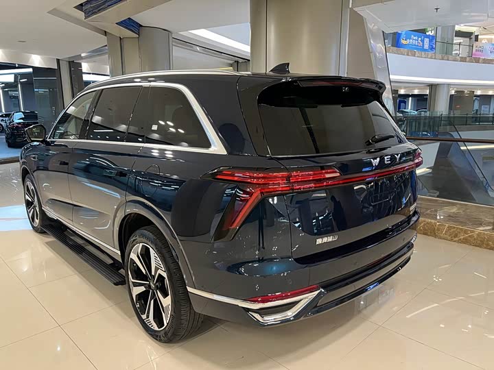 Фото 6 - Wey Lanshan