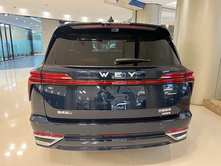 Фото 7 - Wey Lanshan