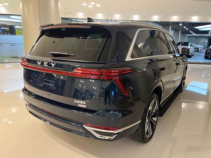 Фото 8 - Wey Lanshan