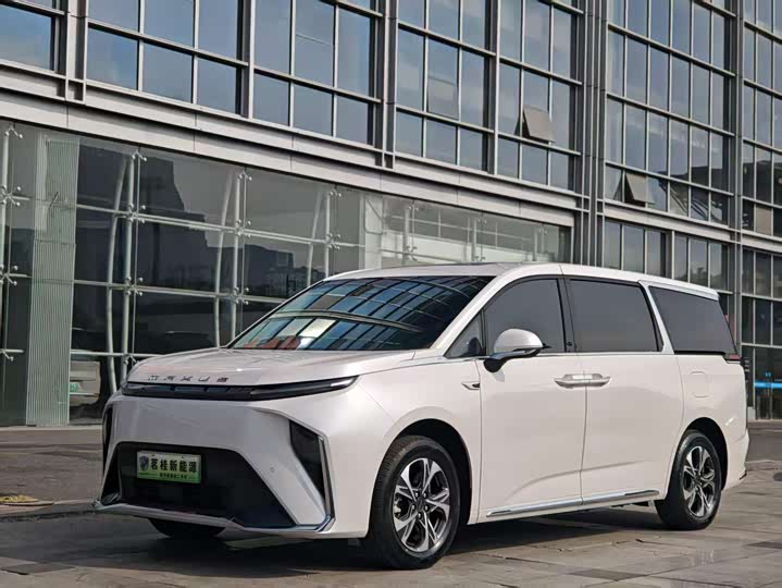 Фото 1 - Maxus Mifa 9