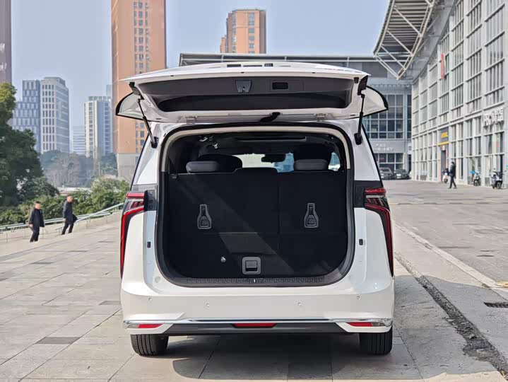 Фото 7 - Maxus Mifa 9