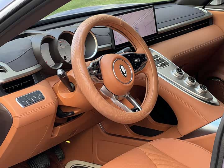 Photo 4 - Ora Lightning Cat (07)