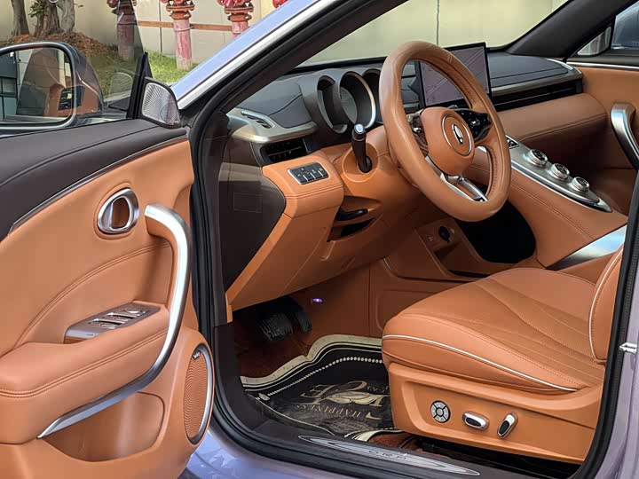 Photo 5 - Ora Lightning Cat (07)