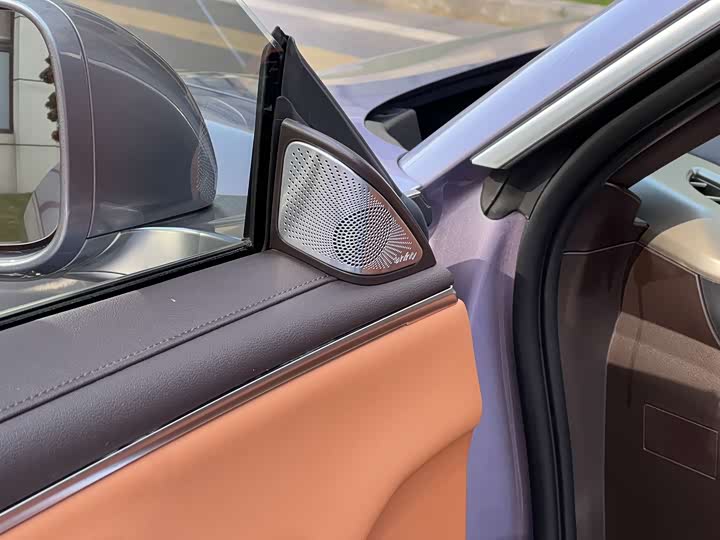 Photo 7 - Ora Lightning Cat (07)