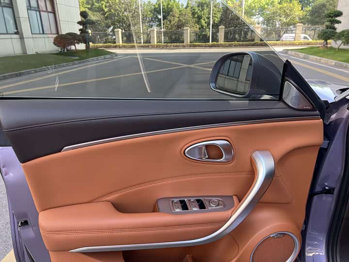 Photo 8 - Ora Lightning Cat (07)