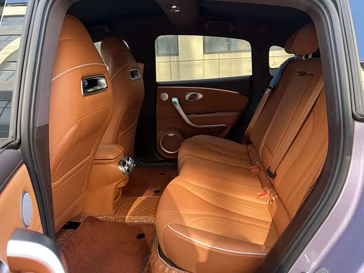 Photo 9 - Ora Lightning Cat (07)