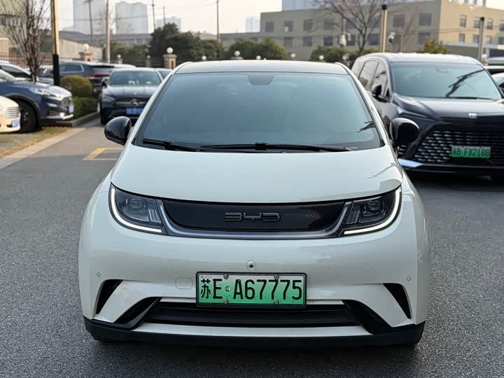 Фото 2 - BYD Dolphin