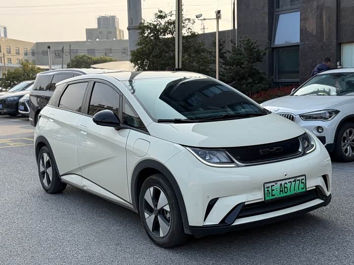 Фото 3 - BYD Dolphin